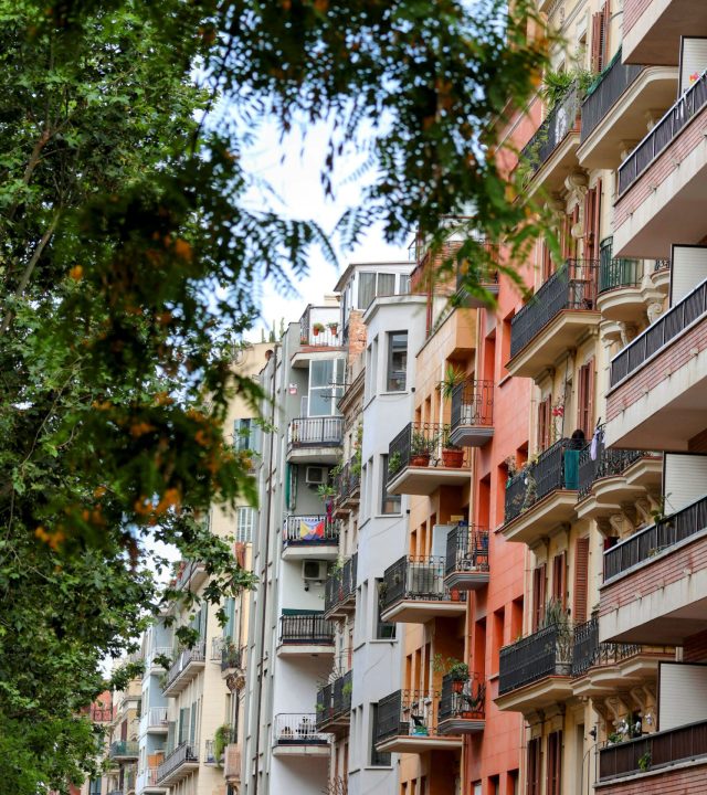 Imagen de una calle con edificios de diferentes colores al lado derecho. En el lado izquierdo aparecen las ramas de un árbol.